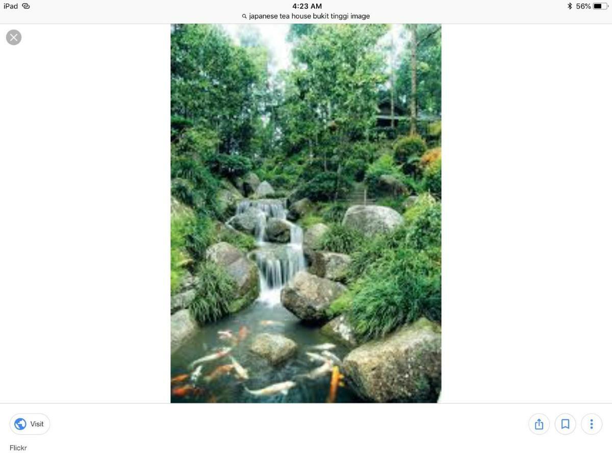 Bukit Tinggi Berjaya Hill Homestay Exterior photo